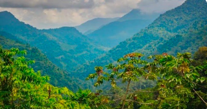 WHAT BRAZIL’S AMAZON COURT BATTLE COULD TEACH AFRICA- AND ESWATINI