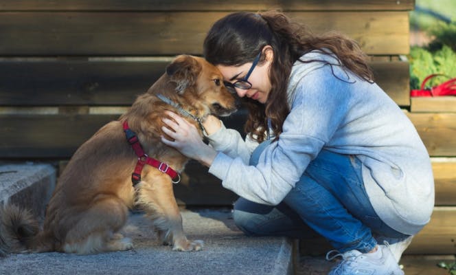 Young woman holding dog and pressing their foreheads together. 