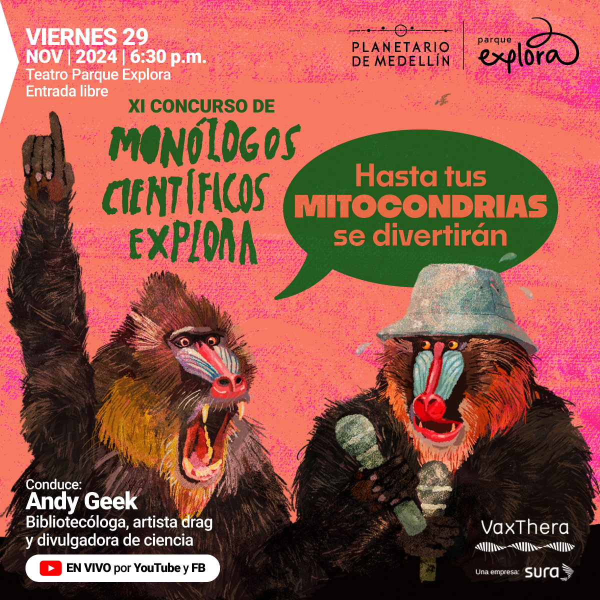 Imagen promocional del "XI Concurso de Monólogos Científicos Explora", a realizarse el viernes 29 de noviembre de 2024 a las 6:30 p.m. en el Teatro Parque Explora, con entrada libre. En la esquina superior derecha se encuentran los logotipos del Planetario de Medellín y del Parque Explora. Al centro, en letras verdes, se lee "XI Concurso de Monólogos Científicos Explora", y a su derecha, dentro de una burbuja de diálogo verde, la frase "Hasta tus mitocondrias se divertirán", con la palabra "mitocondrias" en letras grandes y en color rojo. En la parte inferior de la imagen aparecen dos mandriles ilustrados: el de la izquierda tiene una expresión entusiasta, y el de la derecha sostiene un micrófono y lleva un sombrero gris. En la esquina inferior izquierda, el texto dice: "Conduce: Andy Geek, bibliotecóloga, artista drag y divulgadora de ciencia", acompañado del ícono de YouTube y la frase "EN VIVO por YouTube y FB". En la esquina inferior derecha, se muestra el logo de VaxThera, una empresa de Sura. El fondo de la imagen es de tonos rosados y naranjas.