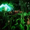 An epic performance at Zamna Tulum 2025