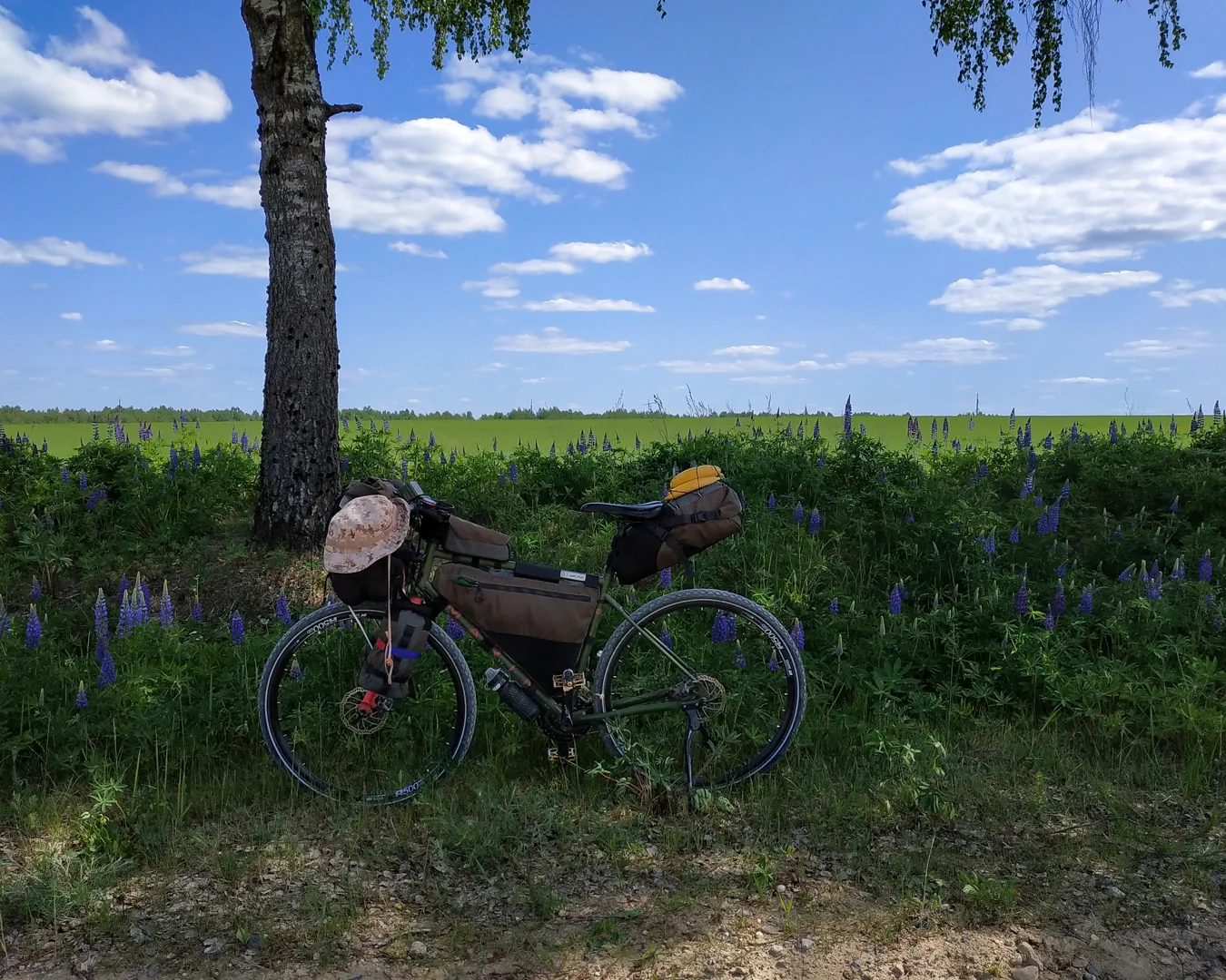 Падарожжа на ровары Велосумки MaseyBikepack