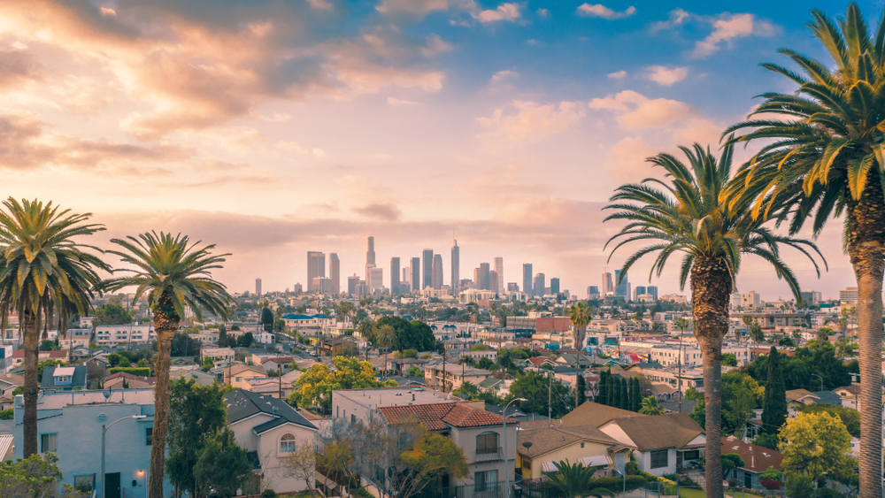 Aerial Shot of Los Angeles