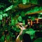 Listen to the music, dance and have an entertaining dinner