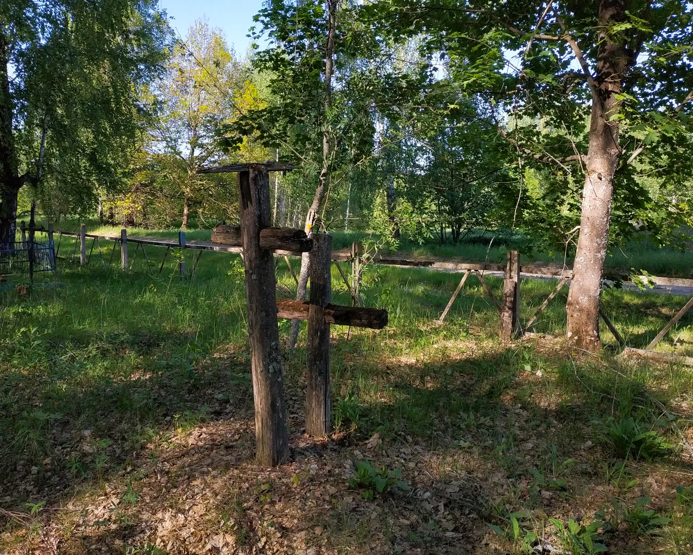 Могілкі вёска Еленаўка Хоцімскі раён, Кладбище деревня Еленовка Хотимский район