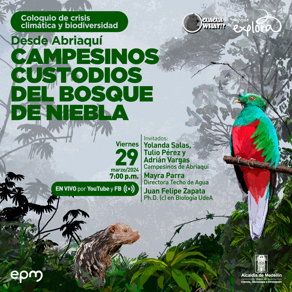 Ilustración. El fondo muestra las siluetas de los árboles entre la neblina. A la izquierda un ave de vientre rojo, cabeza, espalda y pecho verde brillante y cola larga. En el centro abajo un animal con pelo café y blanco, orejas pequeñas, nariz grande y dientes prominentes. En el centro el texto: "Coloquio de crisis climática y biodiversidad. Desde Abriaquí, Campesinos custodios del bosque de niebla. Viernes 29 de marzo de 2024. 7 de la noche. En vivo por youtube y Facebook. Invitados: Yolanda Salas, Tulio Pérez y Adrián Vargas, campesinos de Abriaquí. Mayra Parra, directora de Techo de agua. Juan Felipe Zapata, candidato a posdoctorado en biologia de la universidad de Antioquia".