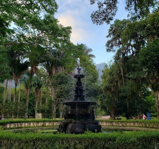 Rio de Janeiro Botanical Garden's gallery image
