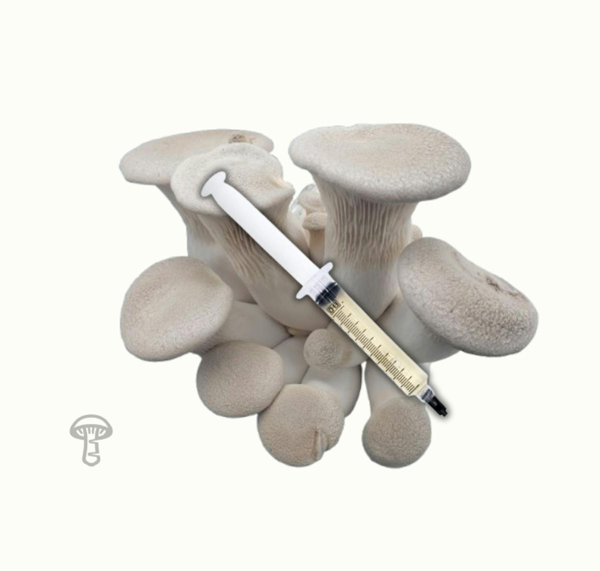 King Trumpet Mushroom Liquid Culture