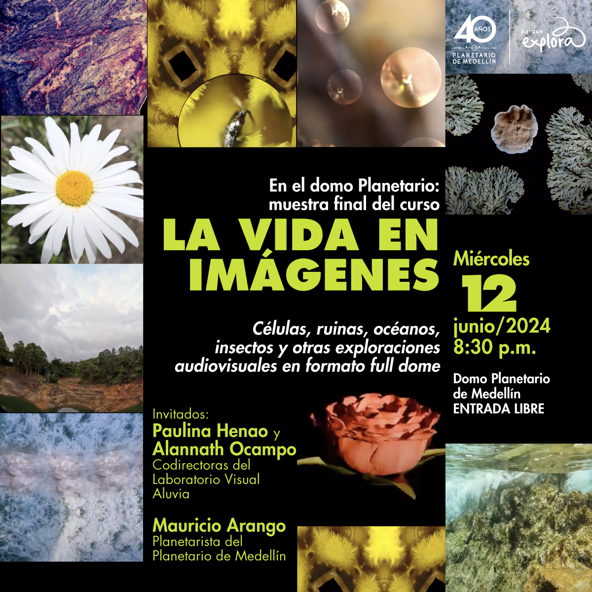 VIDA-IMAGENES-830.jpg