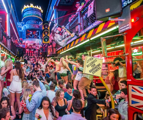 El Squid Roe Los Cabos