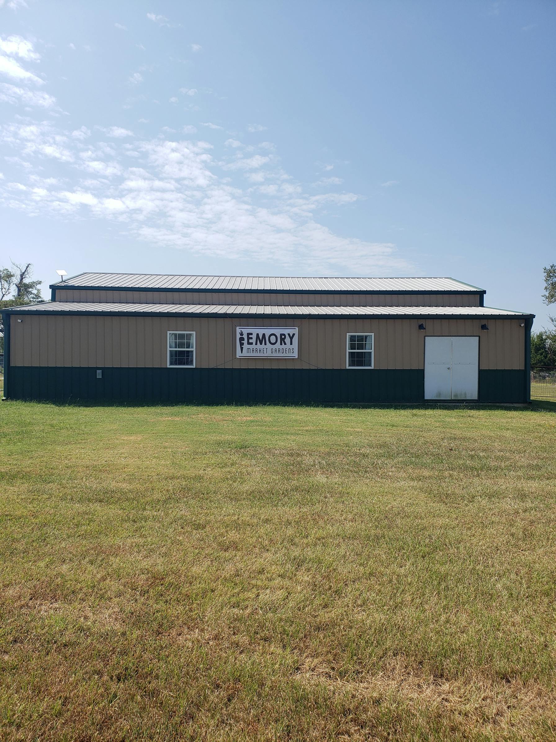 Welcome to Emory Market Gardens: Your Guide to the Wonderful World of Mushrooms!