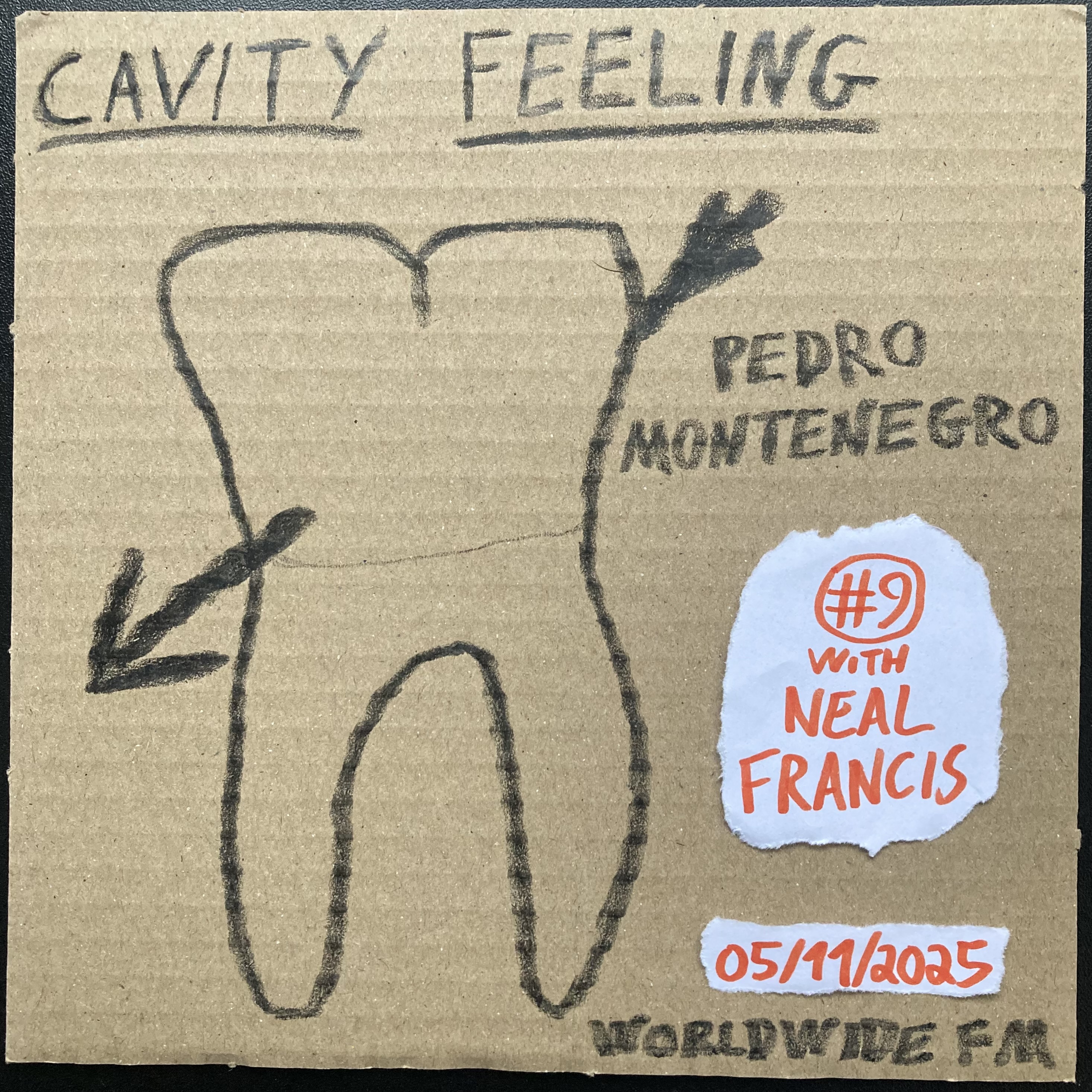 cavity feeling #9: pedro montenegro w/ Neal Francis