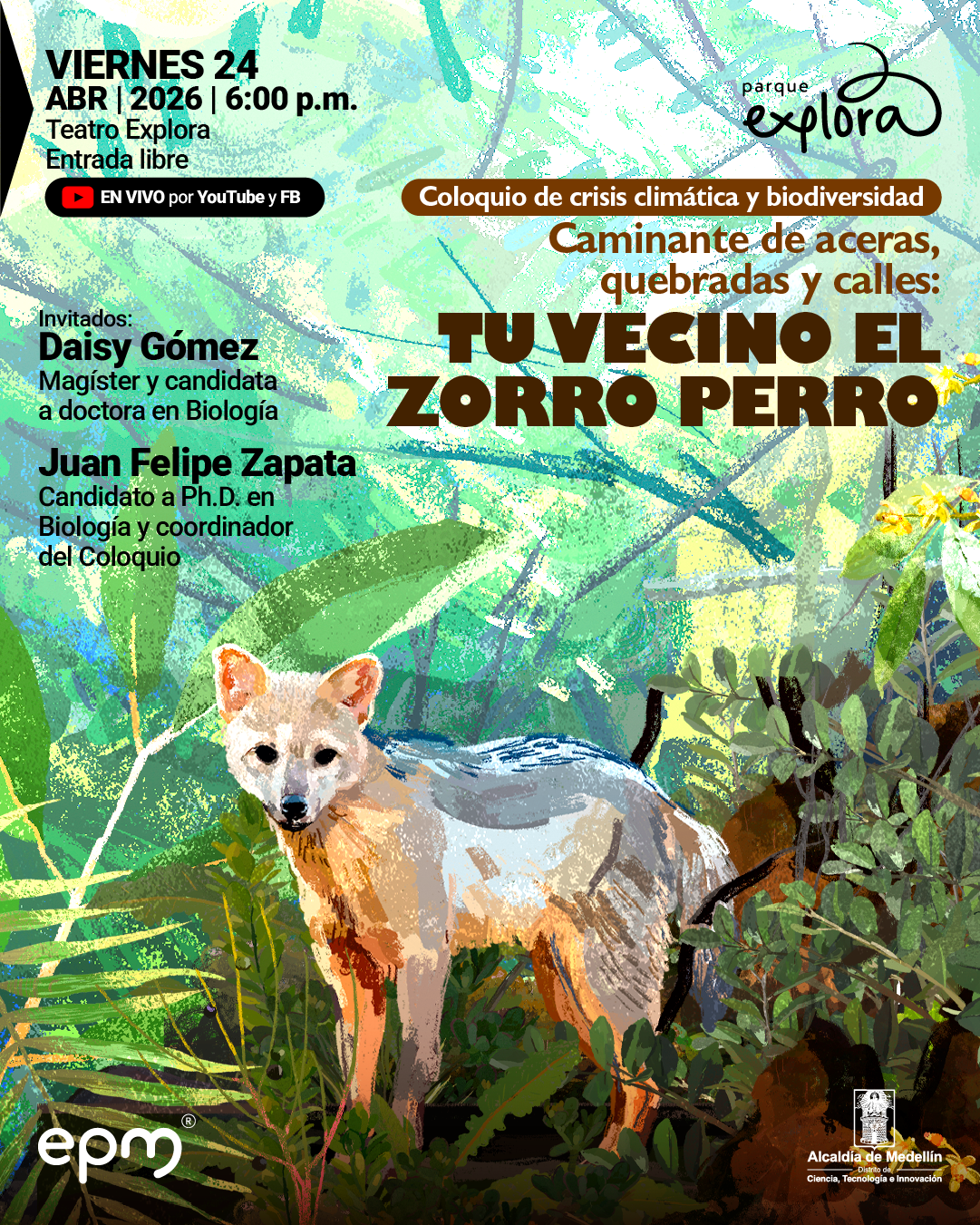 Ilustración. Sobre un fondo de vegetación en tonos verdes, en la parte superior izquierda dice: «Viernes 24 abril 2026 | 6:00 p. m. Teatro Explora. Entrada libre». Debajo aparece una franja que dice: «En vivo por YouTube y FB». En la parte superior derecha, dentro de una franja, dice: «Coloquio de crisis climática y biodiversidad». Debajo dice: «Caminante de aceras, quebradas y calles: tu vecino el zorro perro». En la parte izquierda dice: «Invitados: Daisy Gómez. Magíster y candidata a doctora en Biología. Juan Felipe Zapata. Candidato a doctor en Biología y coordinador del Coloquio». En la mitad inferior aparece un zorro de pie entre hojas y ramas.