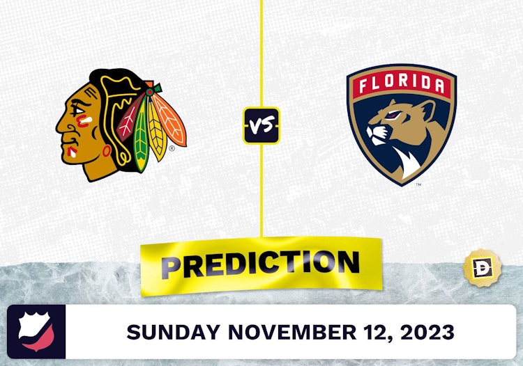 Blackhawks vs. Panthers Prediction and Odds - November 12, 2023