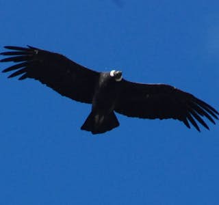 Tour to Tierra del Fuego National Park's gallery image