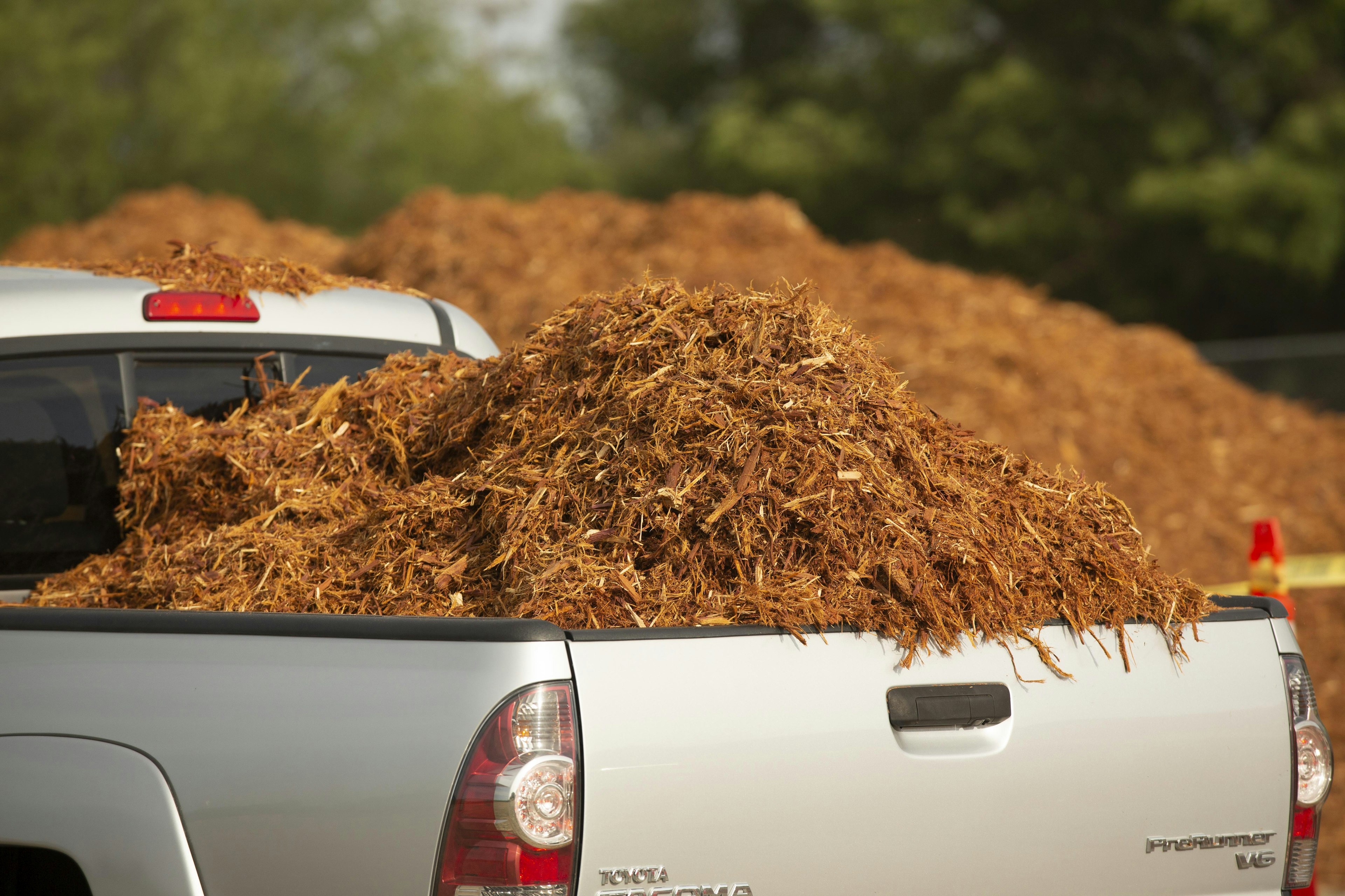 Pickup truck with a bed full of mulch