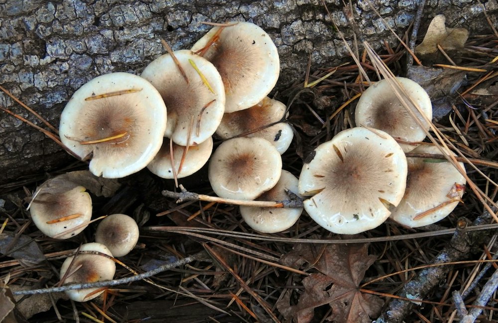 ks20231221_2.jpg