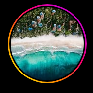 Papaya Playa logo