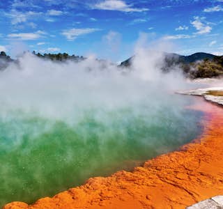 All About New Zealand's gallery image