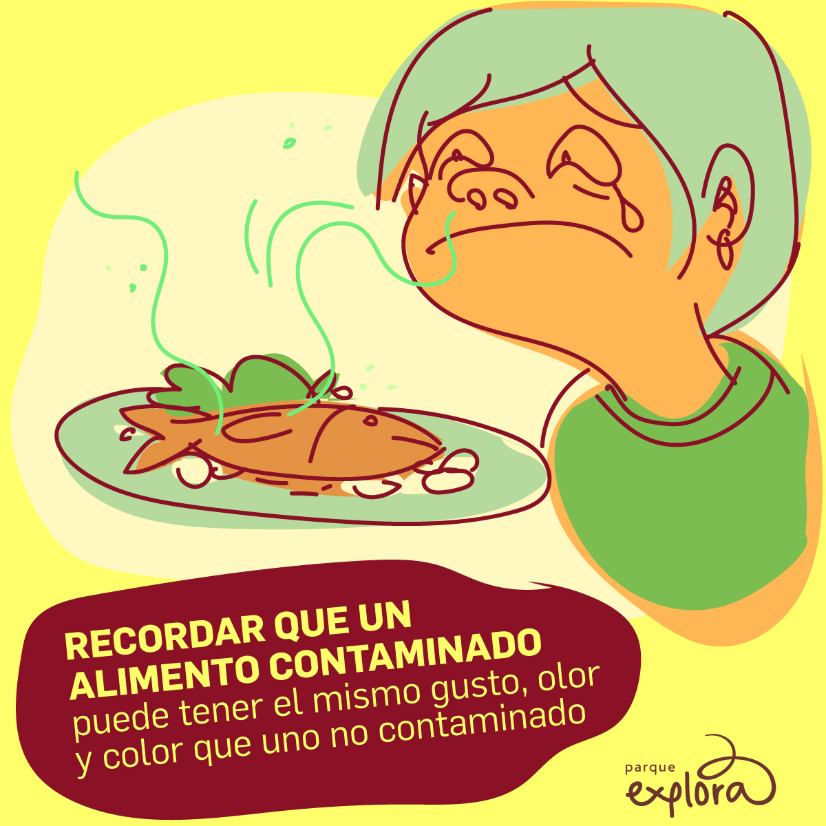 Ilustración. Sobre un fondo amarillo se observa a una persona con gesto de disgusto y lágrimas en los ojos, frente a un plato que contiene un pescado del que salen líneas onduladas que representan mal olor. En la parte inferior se lee el texto: «Recordar que un alimento contaminado puede tener el mismo gusto, olor y color que uno no contaminado».