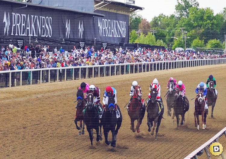 2022 Preakness Stakes Betting Preview and Odds