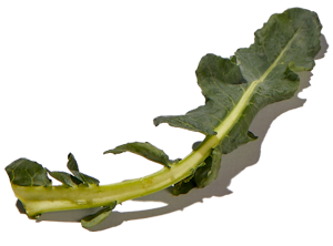 Collard greens