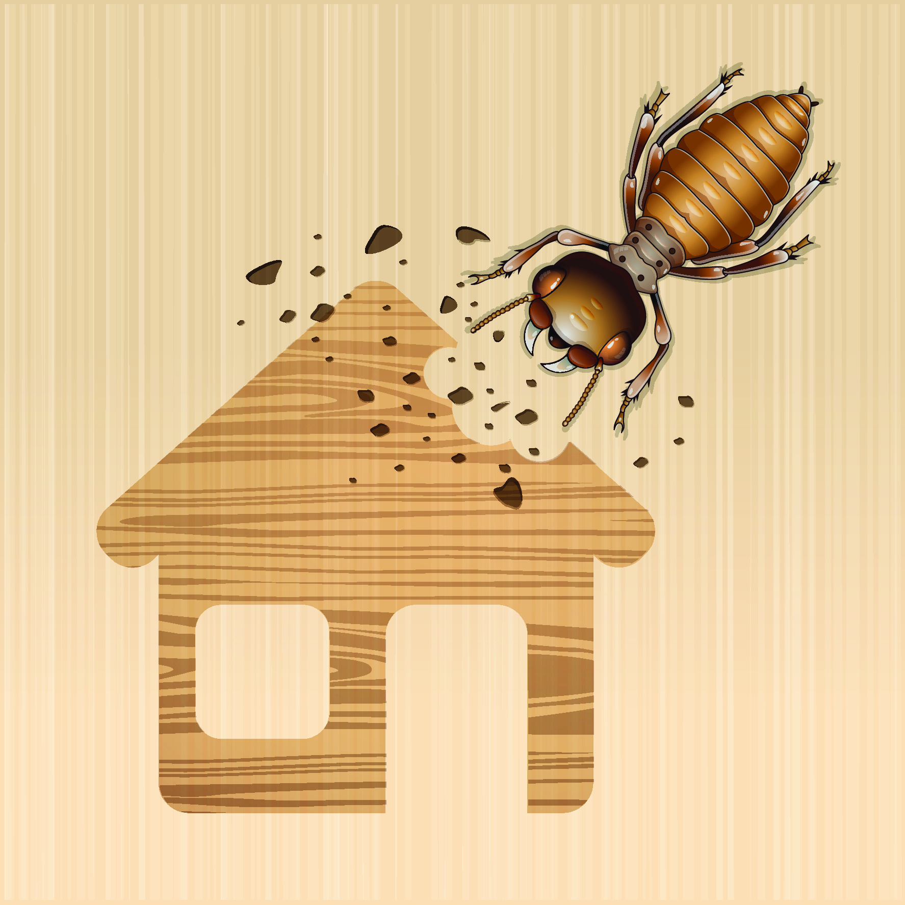 Termite Inspection Costs: How Much and Who Pays? | Home Bay
