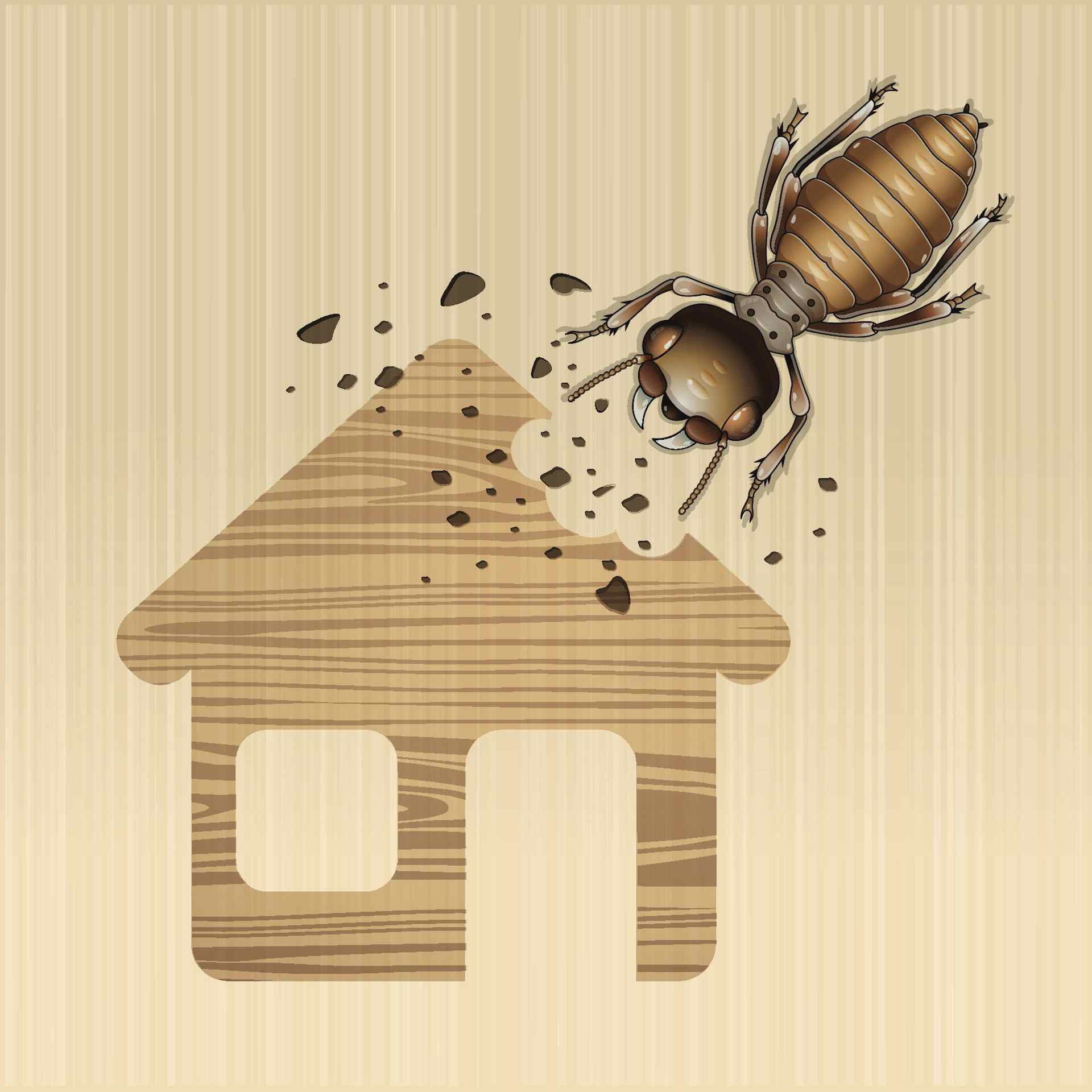 Typical Termite Inspection Cost
