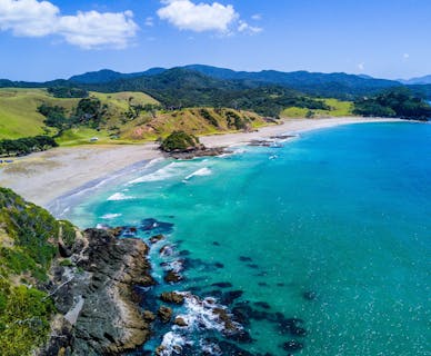 Why New Zealand?
