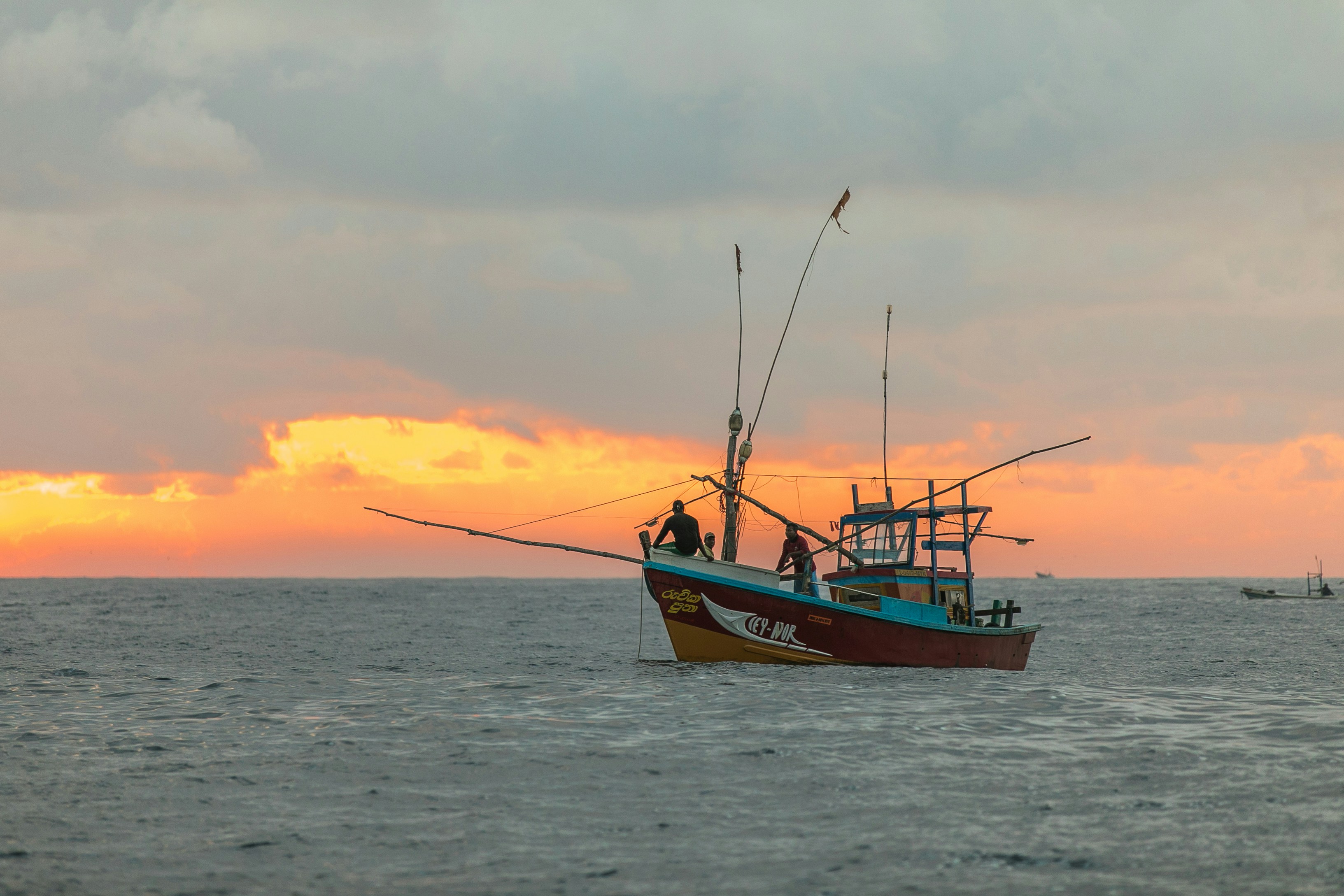 Which is Better? Farm Raised or Wild Caught Seafood?