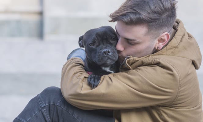 Man holding and kissing black pitbull puppy.