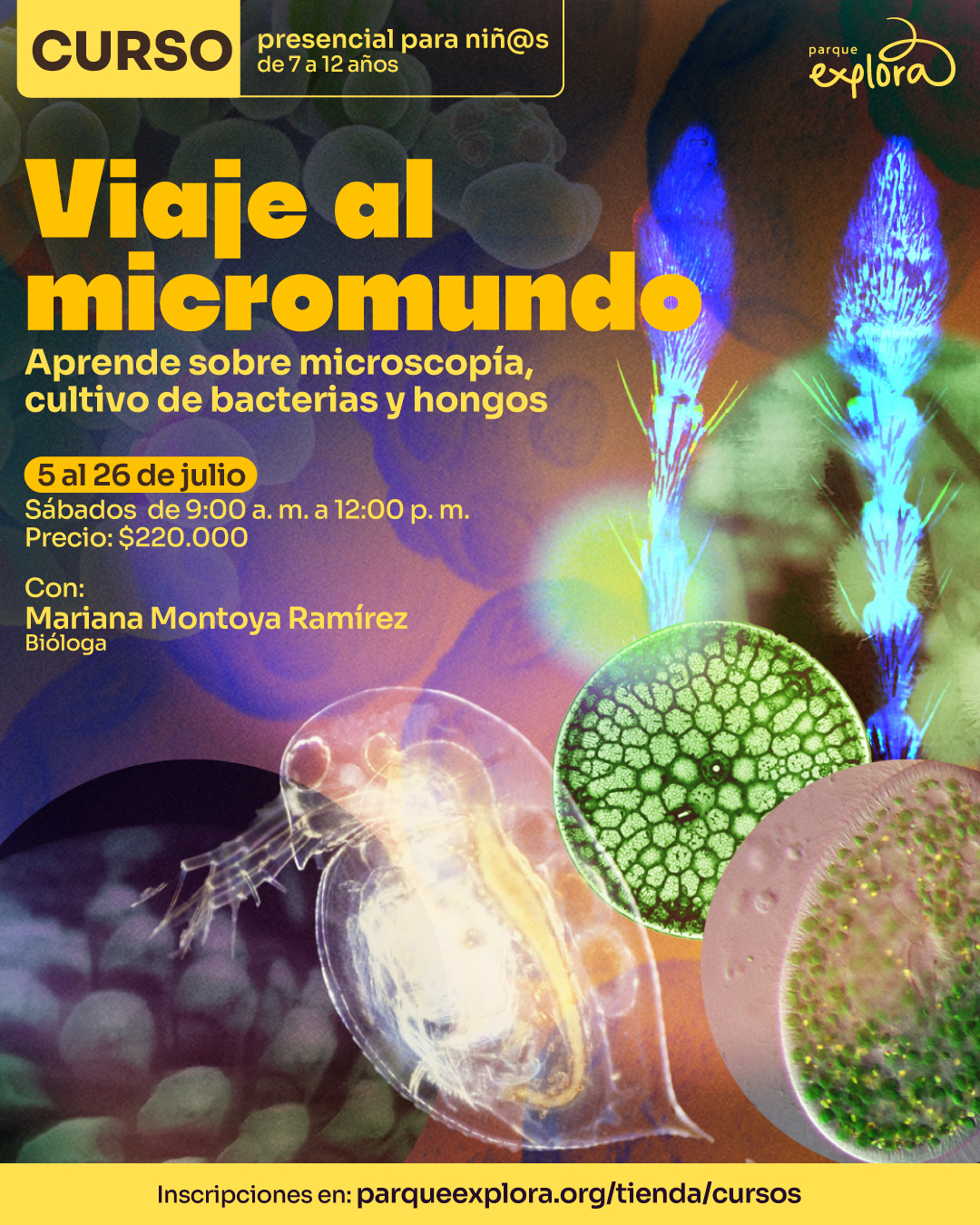 Ilustración. Sobre un fondo oscuro con formas circulares desenfocadas, se destacan imágenes microscópicas de microorganismos: estructuras filamentosas azules, formas circulares verdes con patrones radiales y organismos translúcidos en tonos claros. En la parte superior izquierda, dentro de un recuadro, se lee: "Curso presencial para niñas y niños de 7 a 12 años". En el centro se encuentra el texto: "Viaje al micromundo. Aprende sobre microscopía, cultivo de bacterias y hongos. 5 al 26 de julio. Sábados de 9:00 de la mañana a 12:00 del mediodía. Precio: $220.000. Con: Mariana Montoya Ramírez, bióloga". En la franja inferior se encuentra el texto: "Inscripciones en: parqueexplora.org/tienda/cursos".