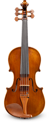 Andreas Eastman 5-String VL4055