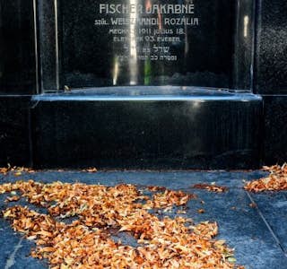 Where Time Stopped: Forgotten Jewish Cemetery's gallery image