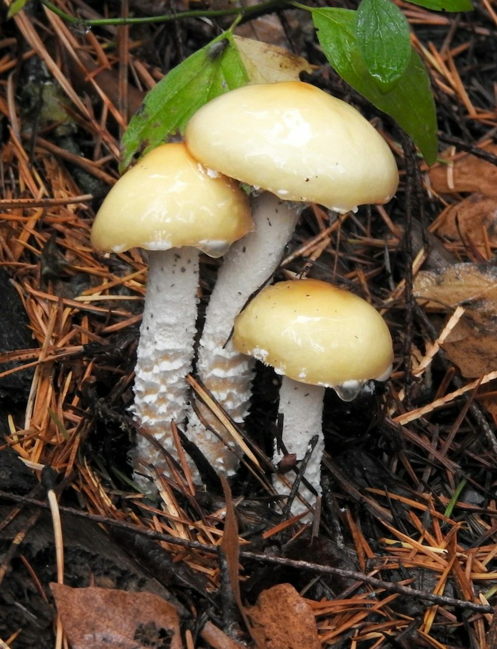ks20231221_3.jpg
