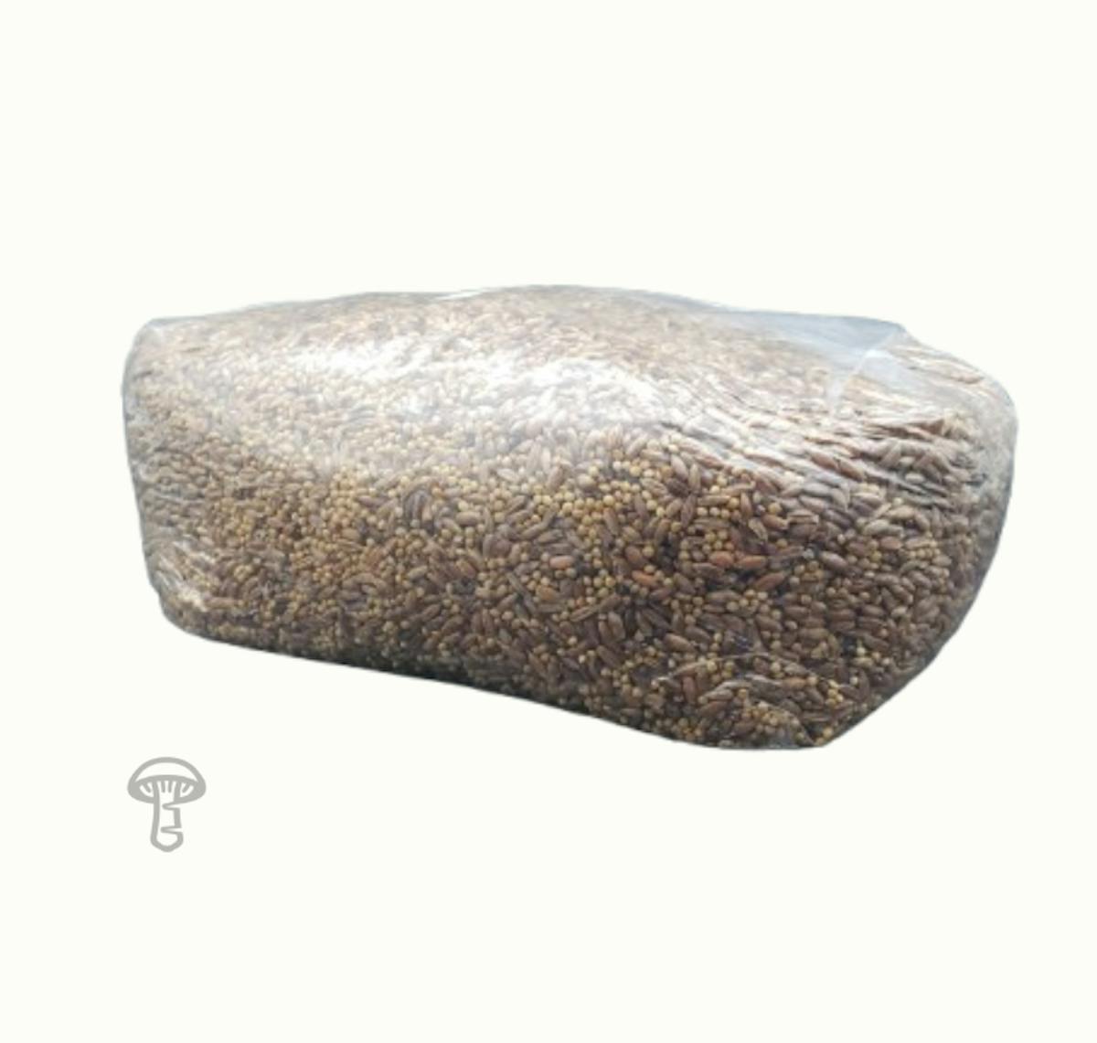 Sterile Grain Spawn (5 lb)