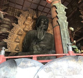 Nara Todaiji Temple Tour's gallery image