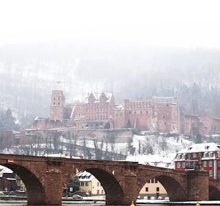 A Beginners Guide to Germany's gallery image