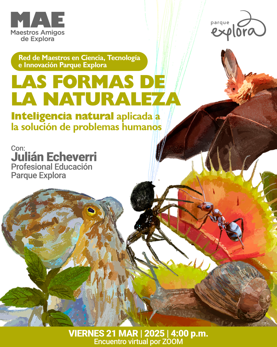 Ilustración. Sobre un fondo blanco con líneas de colores, se encuentran varias especies naturales: un murciélago con alas extendidas, una planta carnívora atrapando un insecto, una hormiga, un caracol y un pez con textura de roca. Encima de estos elementos hay un texto que dice: «Red de Maestros en Ciencia, Tecnología e Innovación Parque Explora». Más abajo, en un tamaño más grande, se lee: «Las formas de la naturaleza». Debajo, otro texto señala: «Inteligencia natural aplicada a la solución de problemas humanos». Más adelante, se encuentra la información del conferencista: «Con: Julián Echeverri, profesional educación, Parque Explora». En la parte inferior de la imagen, se indica: «Viernes veintiuno de marzo de dos mil veinticinco a las cuatro de la tarde. Encuentro virtual por Zoom».