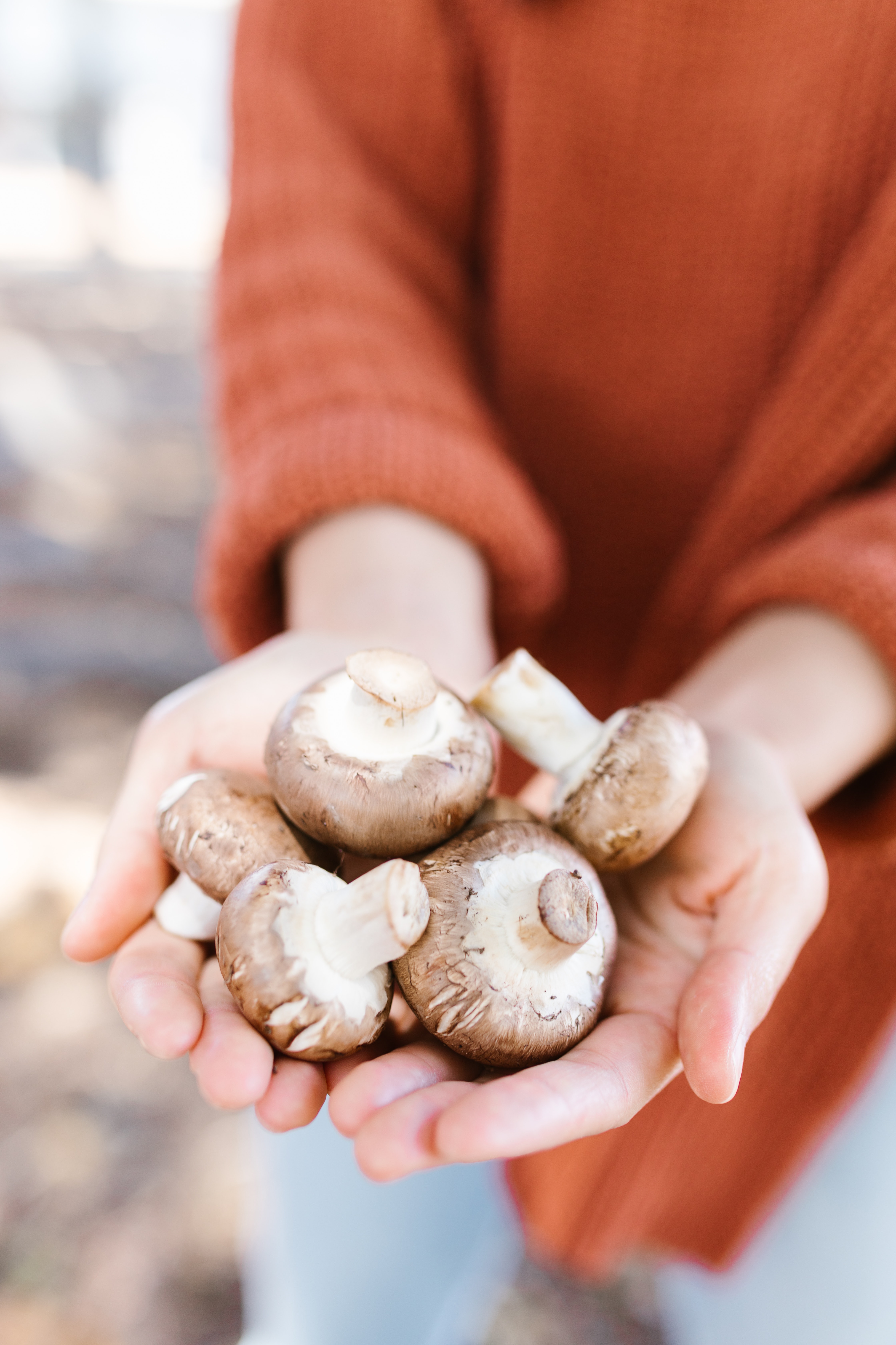 The Latest in Mushroom Cultivation Technology