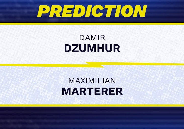 Damir Dzumhur vs Maximilian Marterer Tennis Prediction.
