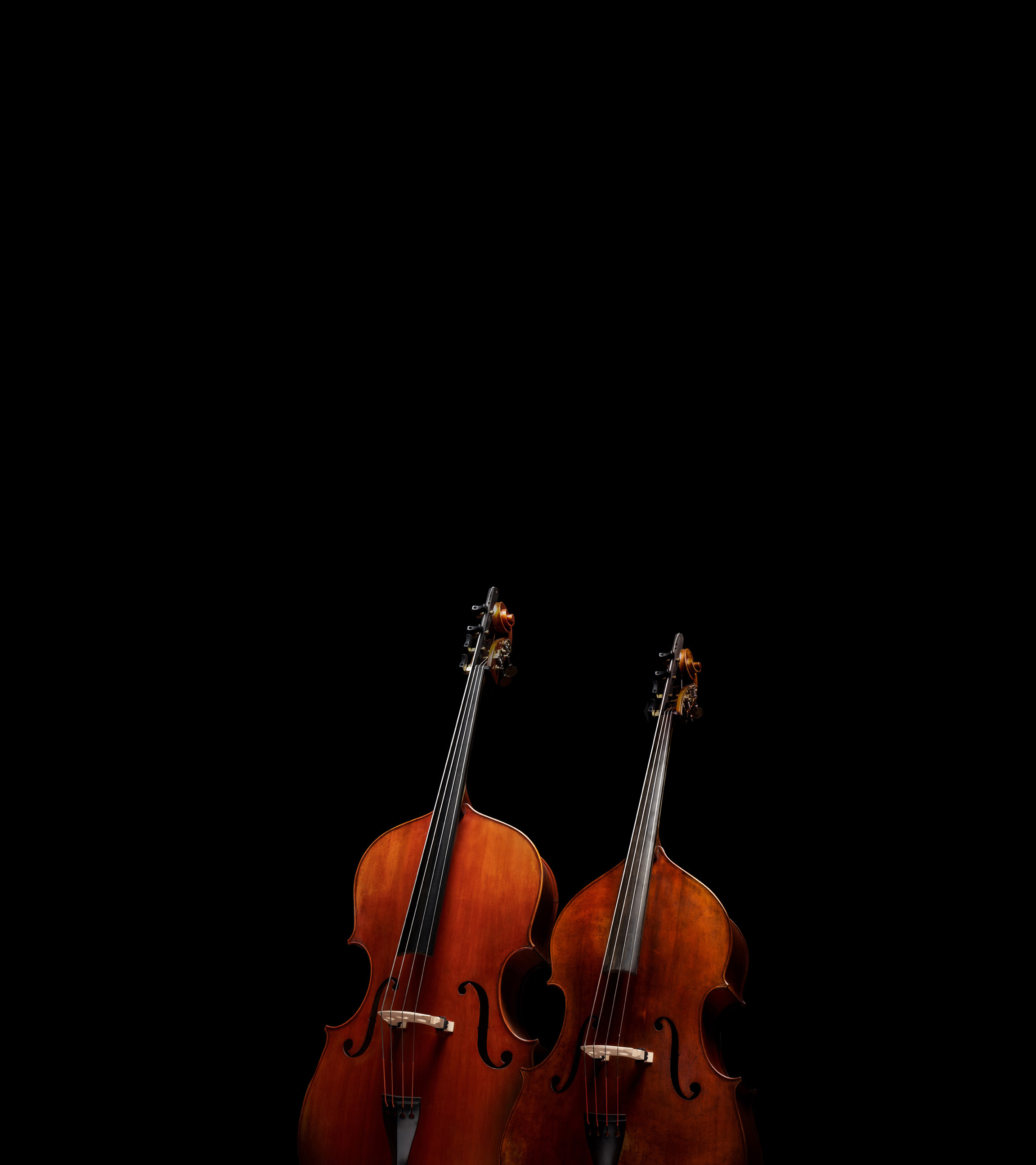 Eastman Eastman