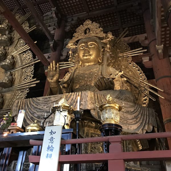 Nara Todaiji Temple Tour's main gallery image