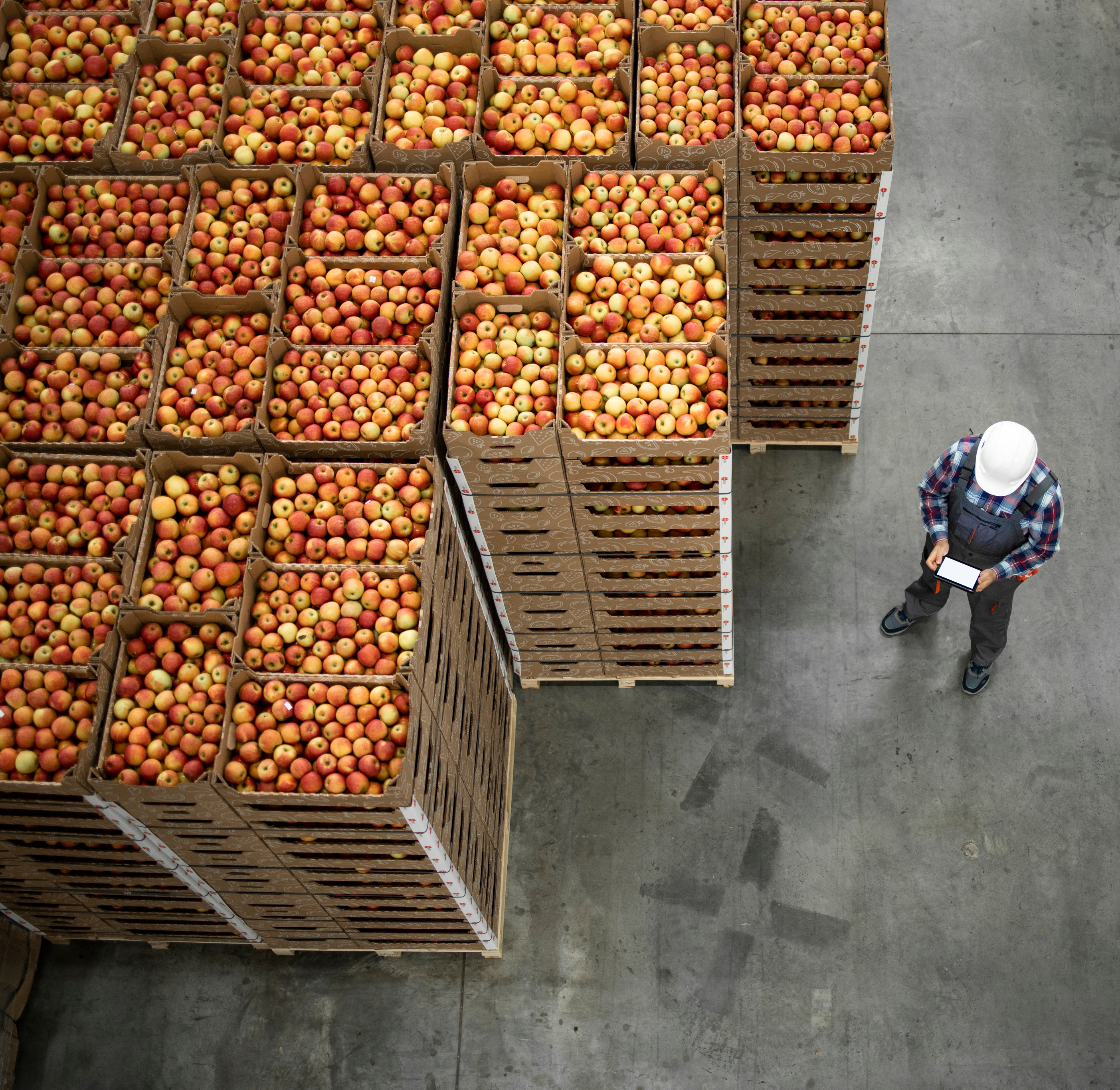 Man standing next to pallets of apple produce