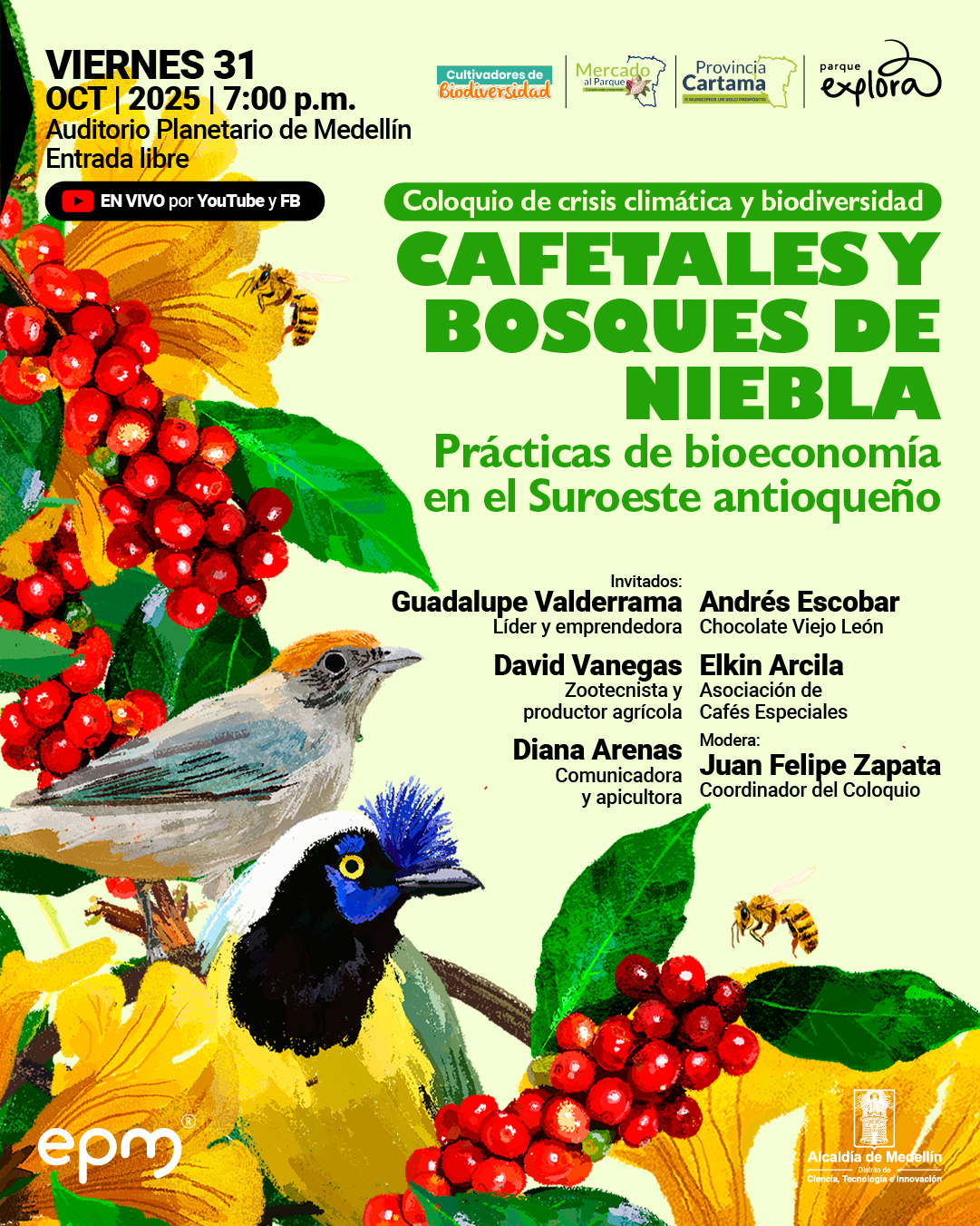 Afiche. Sobre un fondo amarillo claro se observan ramas de cafeto con hojas verdes y racimos de frutos rojos. Entre ellas hay dos aves: una con plumaje gris y cabeza castaña, y otra de pecho negro, cuello amarillo y penacho azul. También aparecen abejas volando y flores amarillas. En la parte superior izquierda se lee: "Viernes 31 de octubre de 2025 a las siete de la tarde. Auditorio Planetario de Medellín. Entrada libre. En vivo por YouTube y Facebook". En el centro, un recuadro verde contiene el texto: "Coloquio de crisis climática y biodiversidad. Cafetales y bosques de niebla. Prácticas de bioeconomía en el Suroeste antioqueño". Más abajo: "Invitados: Guadalupe Valderrama, líder y emprendedora. David Vanegas, zootecnista y productor agrícola. Diana Arenas, comunicadora y apicultora. Andrés Escobar, Chocolate Viejo León. Elkin Arcila, Asociación de Cafés Especiales. Modera: Juan Felipe Zapata, coordinador del coloquio".