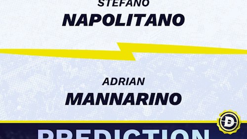 Stefano Napolitano vs. Adrian Mannarino Prediction, Odds, Picks for ATP Libema Open 2024