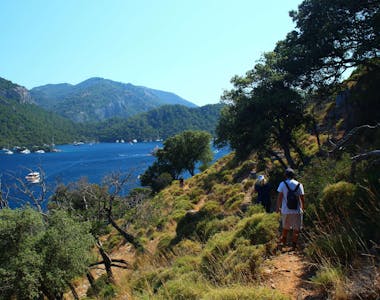 Image 7 of 7