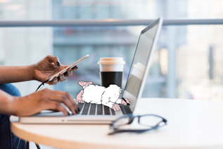 Bidddy 101 - Your Guide To Getting Started On Bidddy