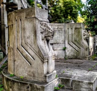 Where Time Stopped: Forgotten Jewish Cemetery's gallery image
