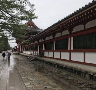 Nara Todaiji Temple Tour's gallery image