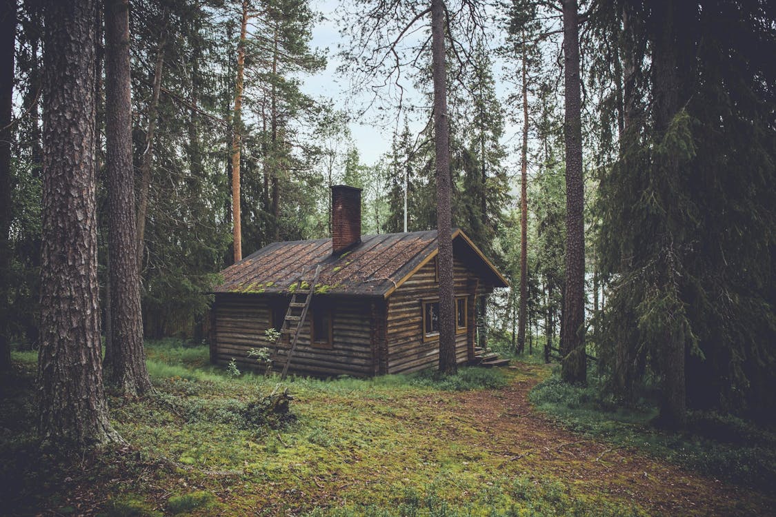 Cabins